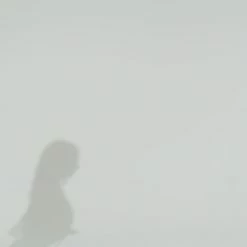 Cheap ❤️ Bluebella - US Marseille Luxury Satin Kimono White 😀 -Deals collections Store unnamed file 1190