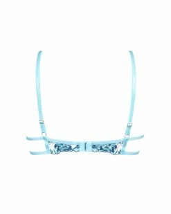 Best Pirce 🛒 Bluebella - US Calista Bra Blue Topaz/Sheer 😉 -Deals collections Store unnamed file 153
