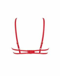 Promo 🛒 Bluebella - US Sapphira Bra Red ✔️ -Deals collections Store unnamed file 328