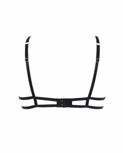 Wholesale ❤️ Bluebella - US Aria Bra Black 👍 -Deals collections Store unnamed file 392