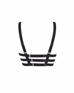 New 🛒 Bluebella - US Miriam ECO Bra Black ❤️ -Deals collections Store unnamed file 462