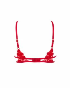 Buy 🤩 Bluebella - US Colette Bra Red 🧨 -Deals collections Store unnamed file 471