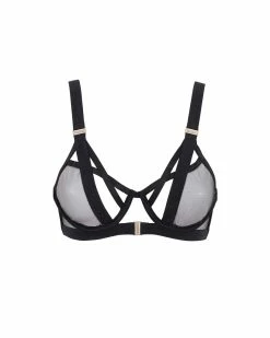 Best Pirce ⭐ Bluebella - US Oslo Bra Black ⌛ -Deals collections Store unnamed file 515