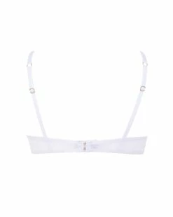 Wholesale 🎉 Bluebella - US Marseille Bra White ❤️ -Deals collections Store unnamed file 538