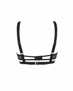 Outlet 😉 Bluebella - US Malina Bra Black 🥰 -Deals collections Store unnamed file 551