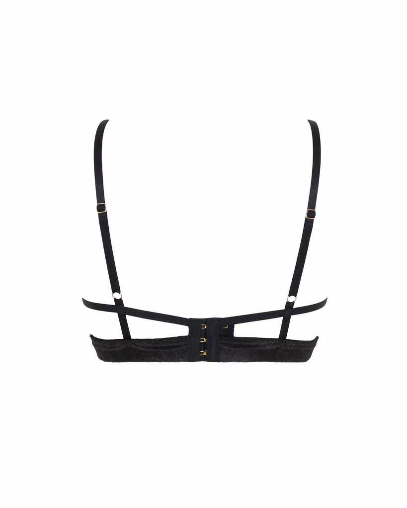 Hot Sale ๐ฏ Bluebella - US Thurma Bra Black ๐งจ 6 Hot Sale ๐ฏ Bluebella - US Thurma Bra Black ๐งจ - Image 6